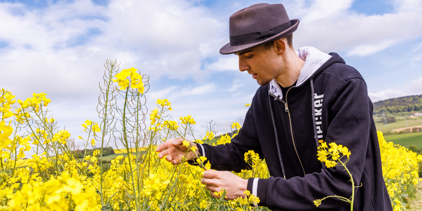 Eine Person mit schwarzem Hut und schwarzen Oberteil steht auf einem Rapsfeld und inspiziert eine Rapspflanze.