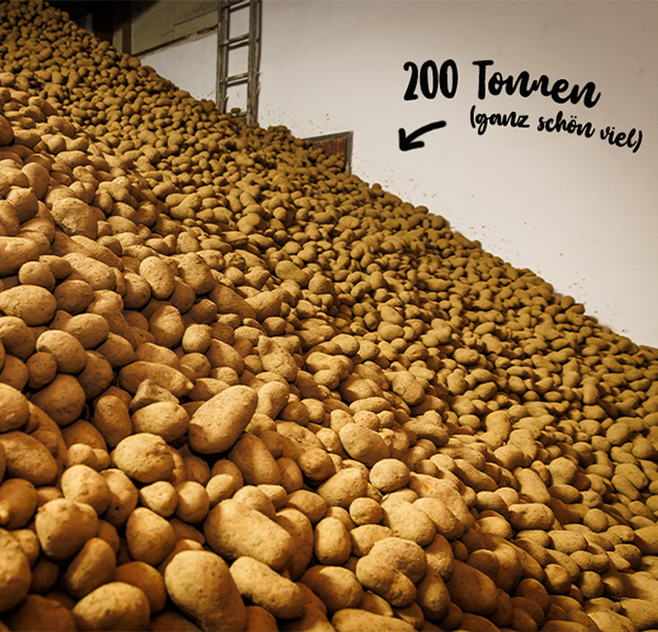 Ein großer Berg an Kartoffeln in einem Kartoffel Speicher bis zur Decke gefüllt.
Daneben steht in Handschrift 200 Tonnen das ist ganz schön viel.
