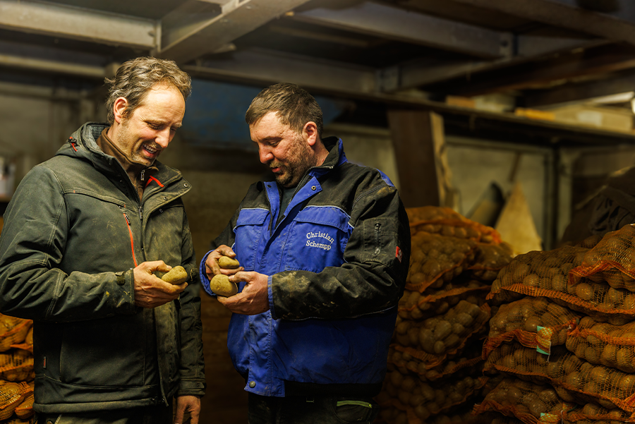 2 Männer in stehen in einem dunkeln Kartoffellager und untersuchen Kartoffeln welche sie in den Händen halten einer der Männer trägt eine blaue Jacke der andere eine graue